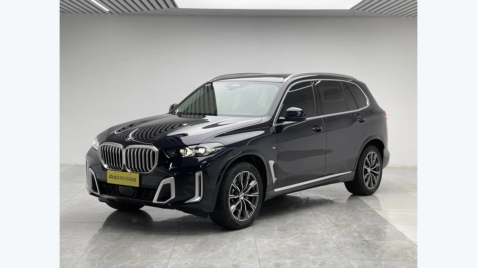 Used BMW X5 Front 45-degree reference for China export