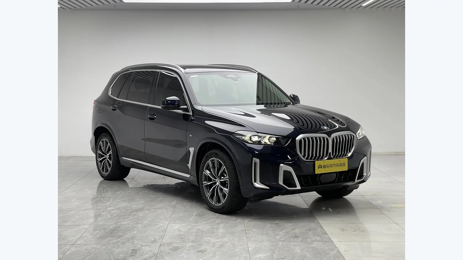 Used BMW X5 Rear 45-degree thumbnail