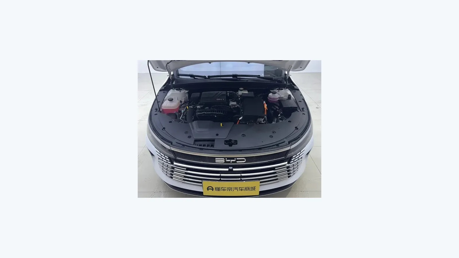 Used BYD Destroyer 05 Photo 6 thumbnail