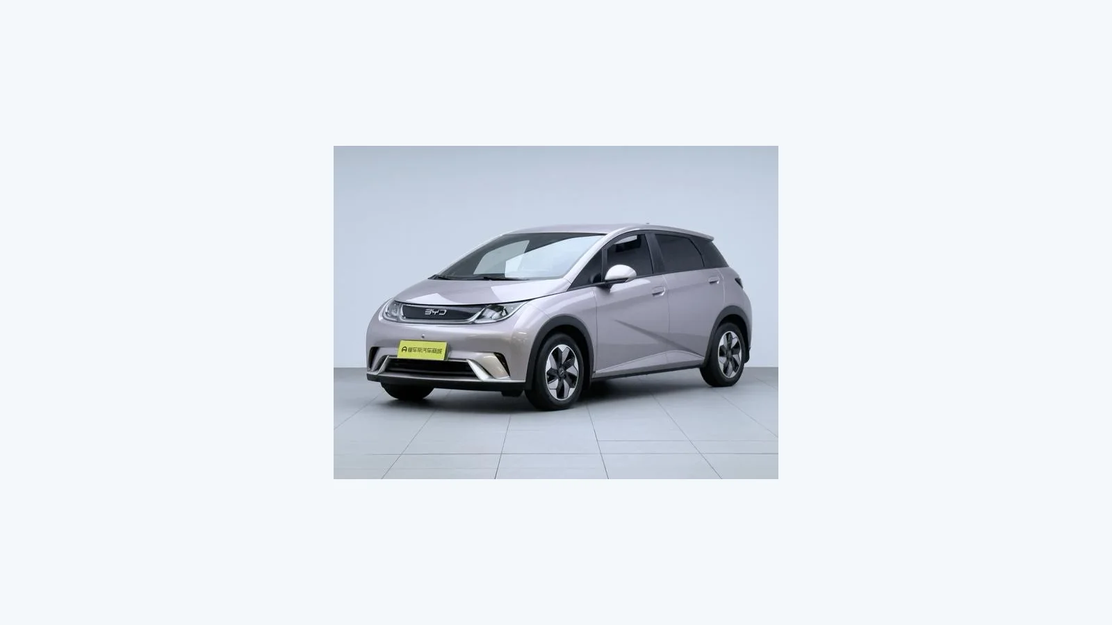 Used BYD Dolphin Export from China