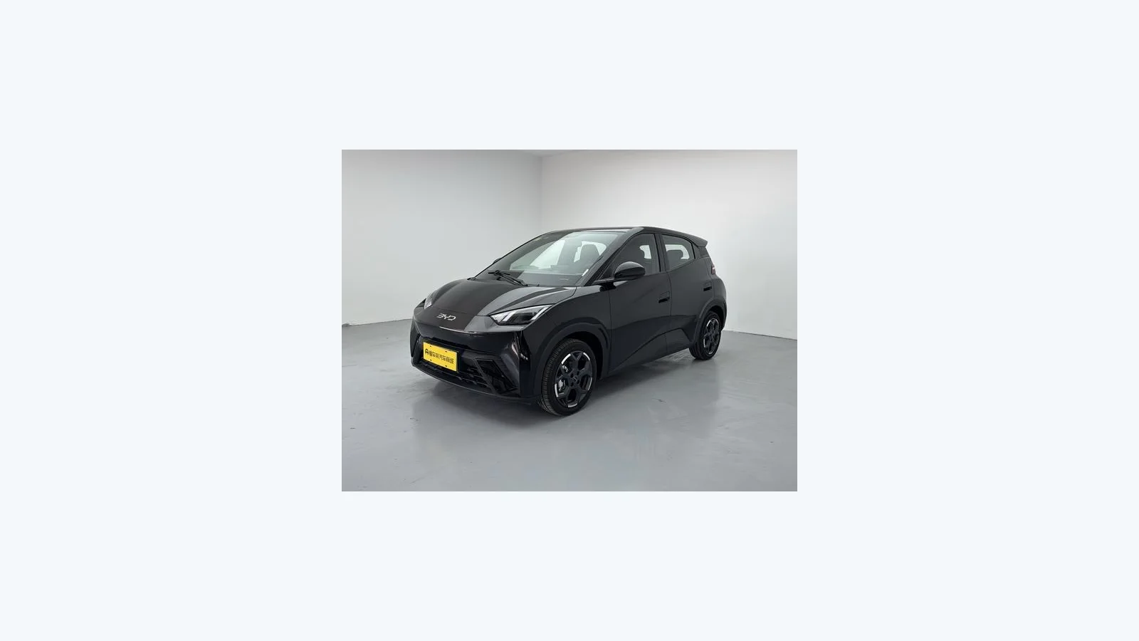 Used BYD Seagull Export from China